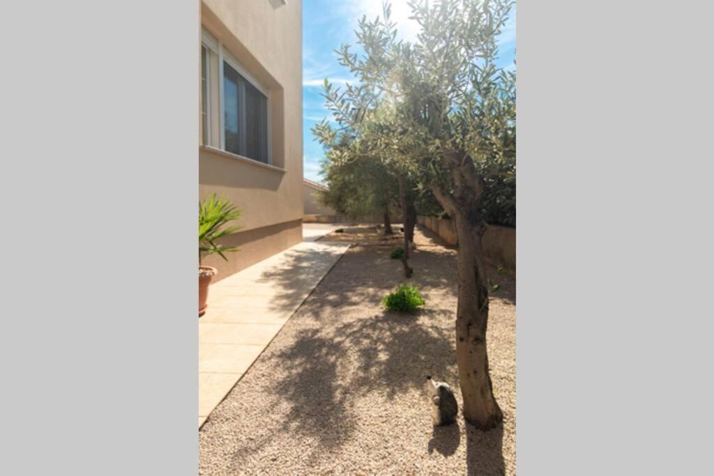Apartment Natali Punat- Free Parking On Premises エクステリア 写真
