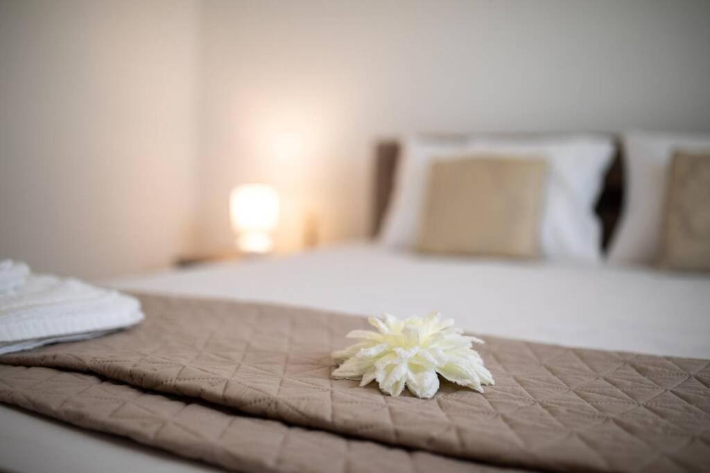 Apartment Natali Punat- Free Parking On Premises エクステリア 写真